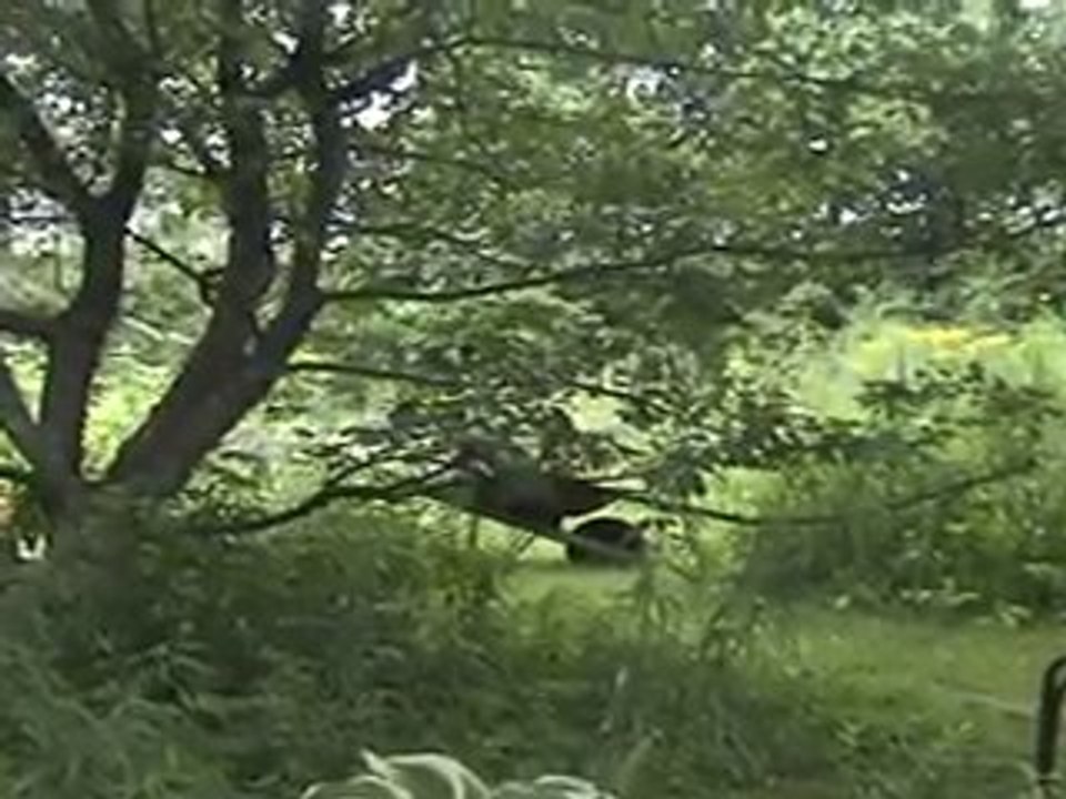 Life in a day, 24 juillet 2010 de Nicole Sénécal