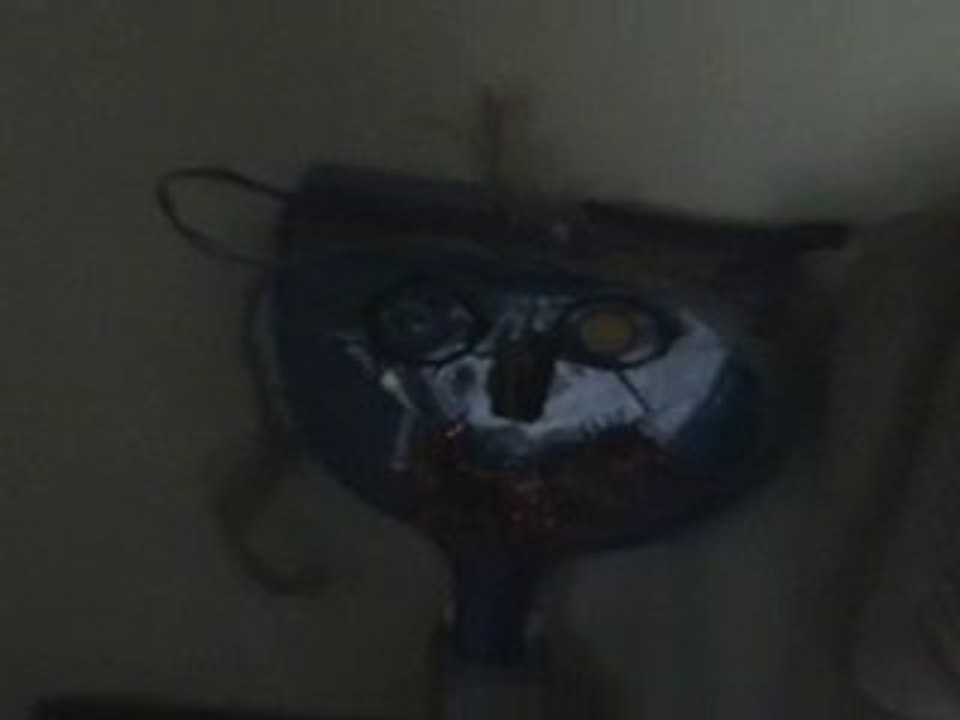 Life in a day, projet de Nicole Sénécal