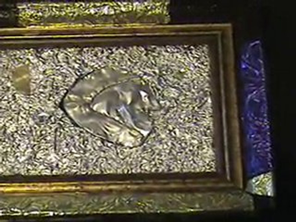 10072940 Life in a day par N.  Sénécal