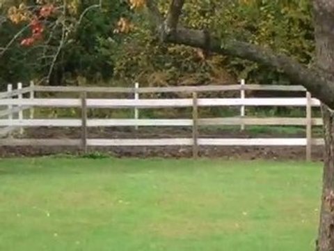 Homes for Sale - 18W470 Edward St - Lombard, IL 60148 - Cold