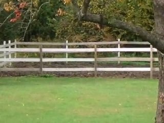 Homes for Sale - 18W470 Edward St - Lombard, IL 60148 - Cold