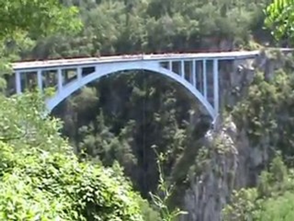 Saut de Lange