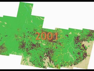 deforestation mato grosso.wmv