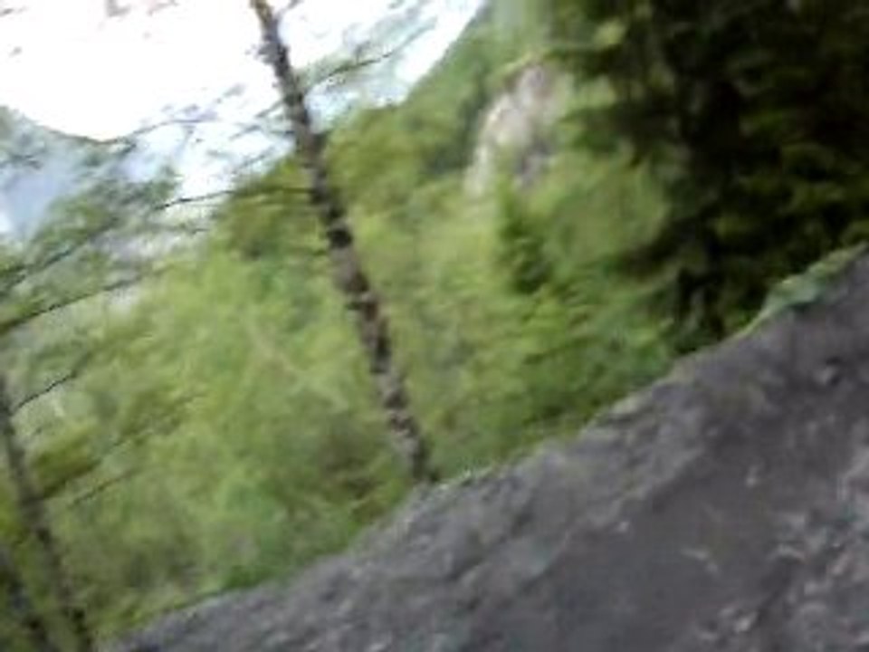 VTT DH 2 Alpes Venosc 2010