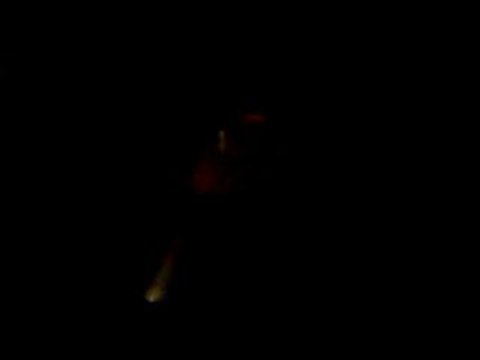 zeki müren - senden bilirim yok bana bir faide ey gül