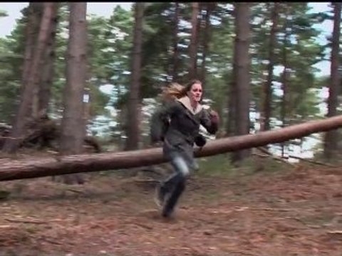 Harry Potter and the Deathly Hallows - Part I - Forest Run