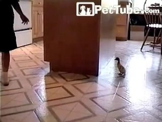 The Real Way to Play “Duck, Duck, Goose!”