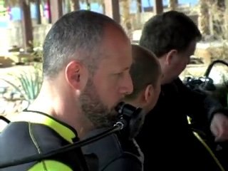 INTERCONTINENTAL TABA HEIGHTS Discover