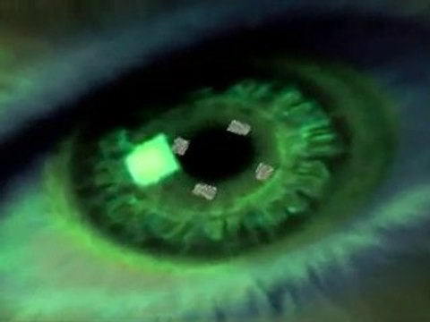 Crop Circles Wiltshire GB 28 & 29 Juillet 2010