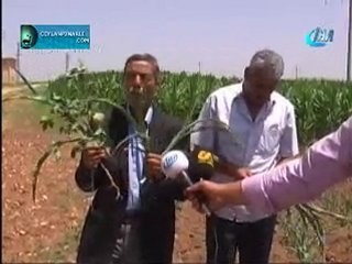 Çiftçiler elektrik kesintisinden bıktı