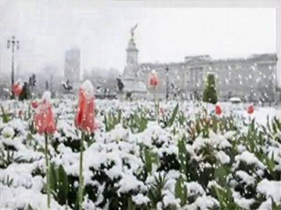 uçup gittin buralardan özhan eren