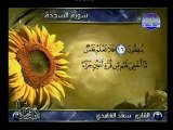 سورة السجدة بصوت الشيخ سعد الغامدي