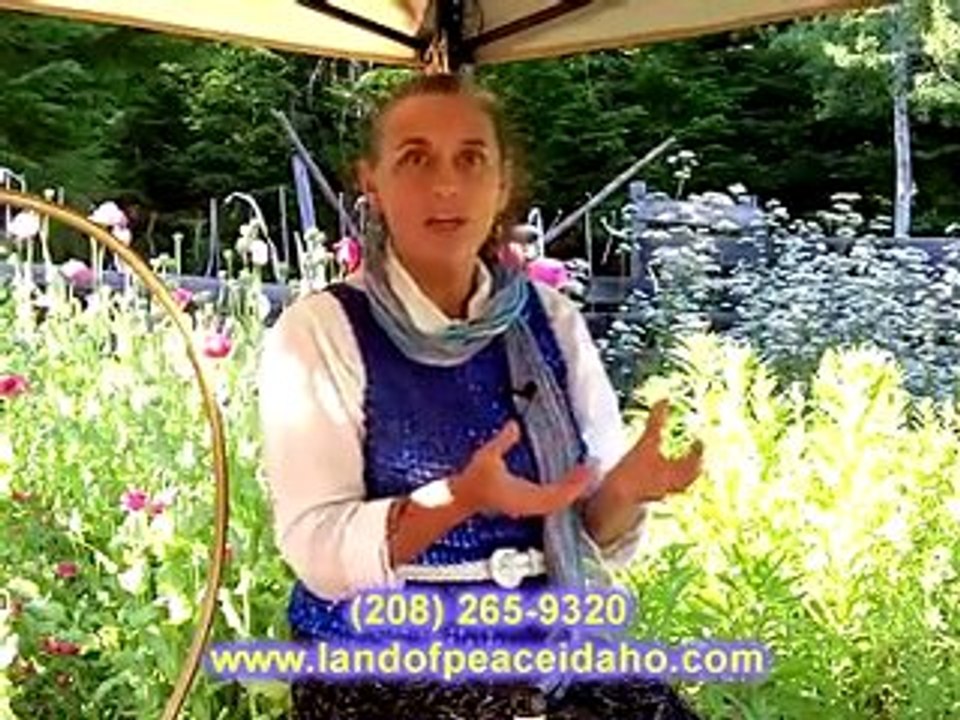 Why use organic healing oils?