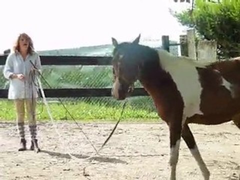 marie a l écurie avec silver en longe