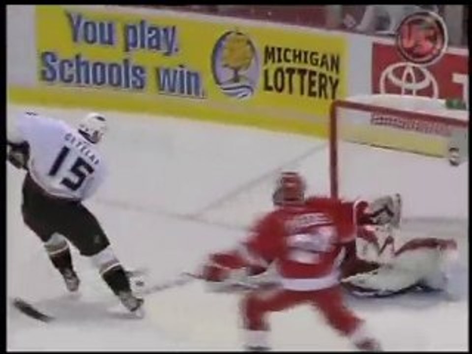 Buffalo Sports