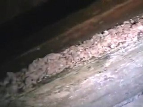 rennes le chateau .decouvertes 8