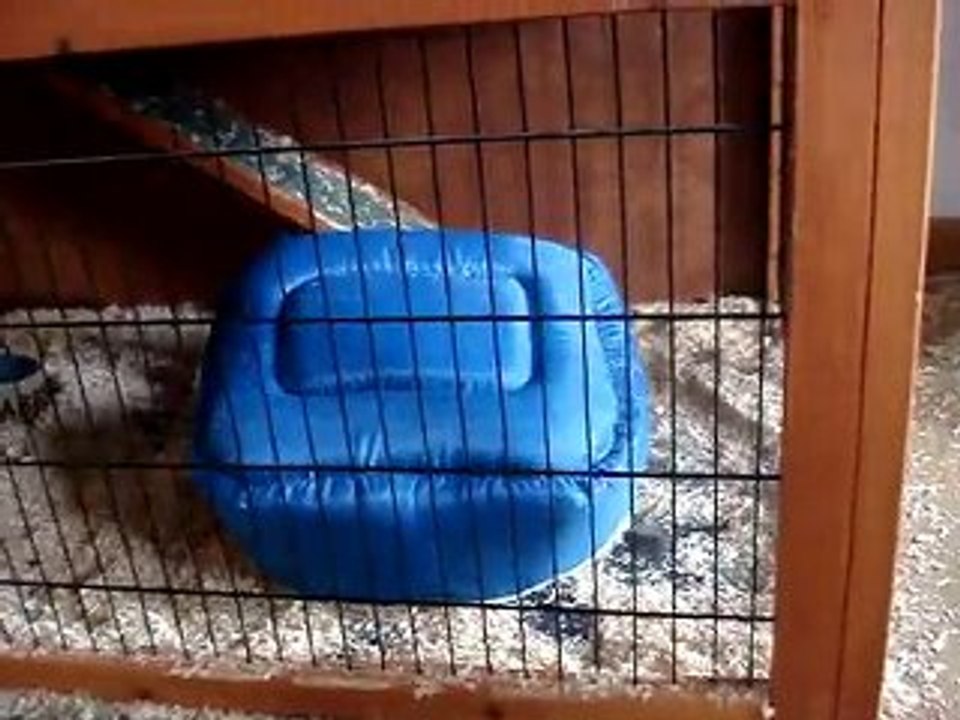 MOV03803