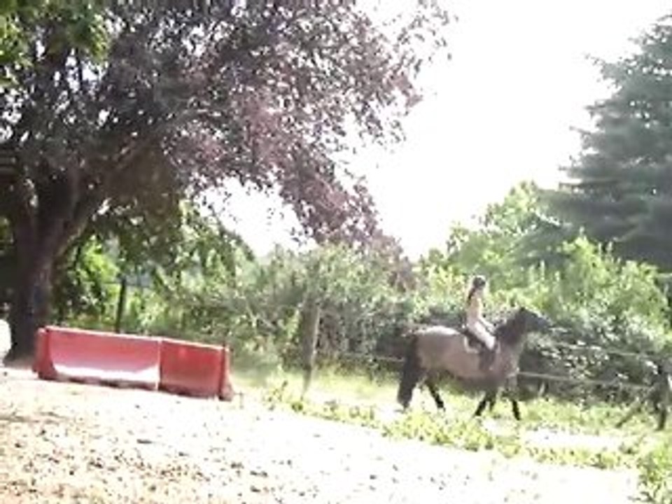 Molène, changement de pied