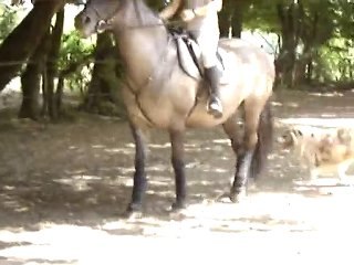 Molène, apprentissage pas espagnol.