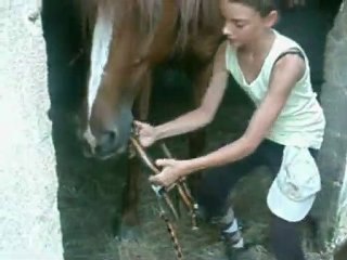 La douceur des chevaux