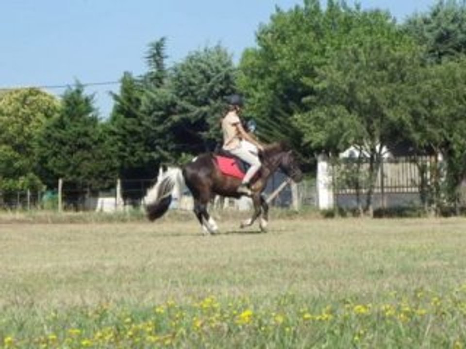 billy juillet 2010