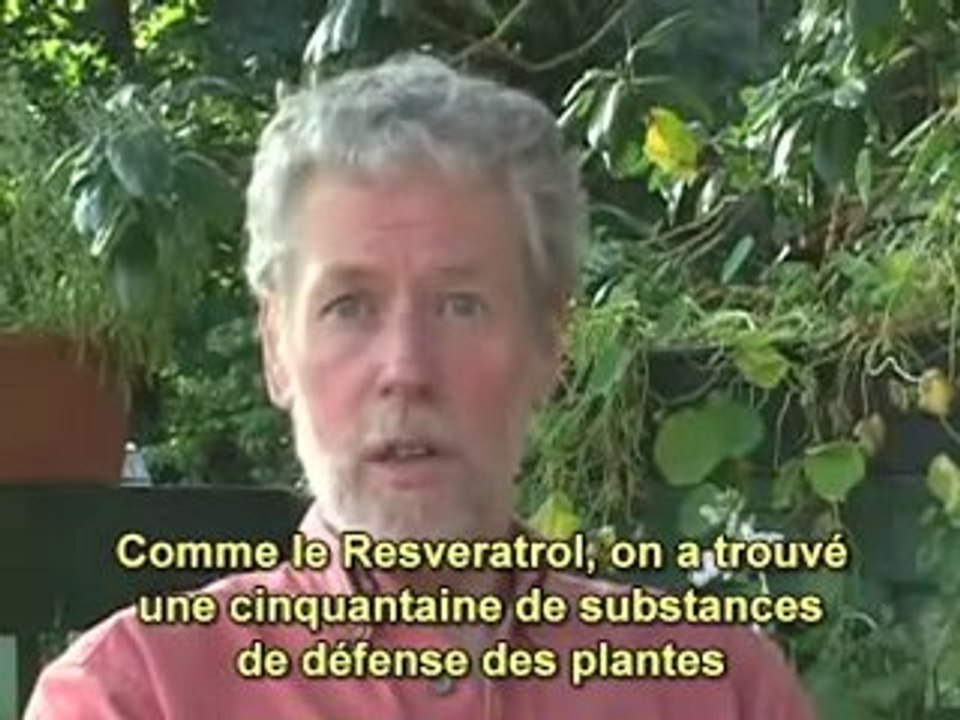 malbouffe = cancer