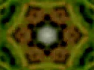 Kaléidoscope jardin 1