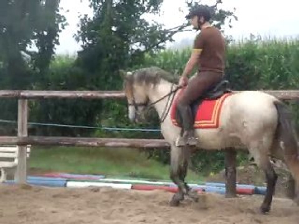 Trot ouvert