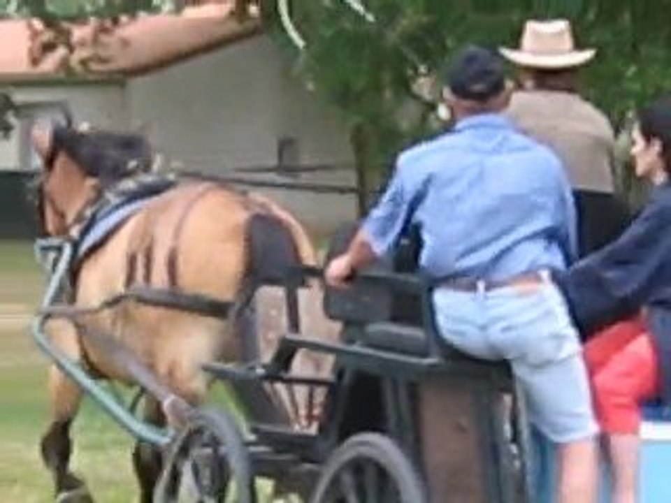 touareg en balade surle plan d'eau