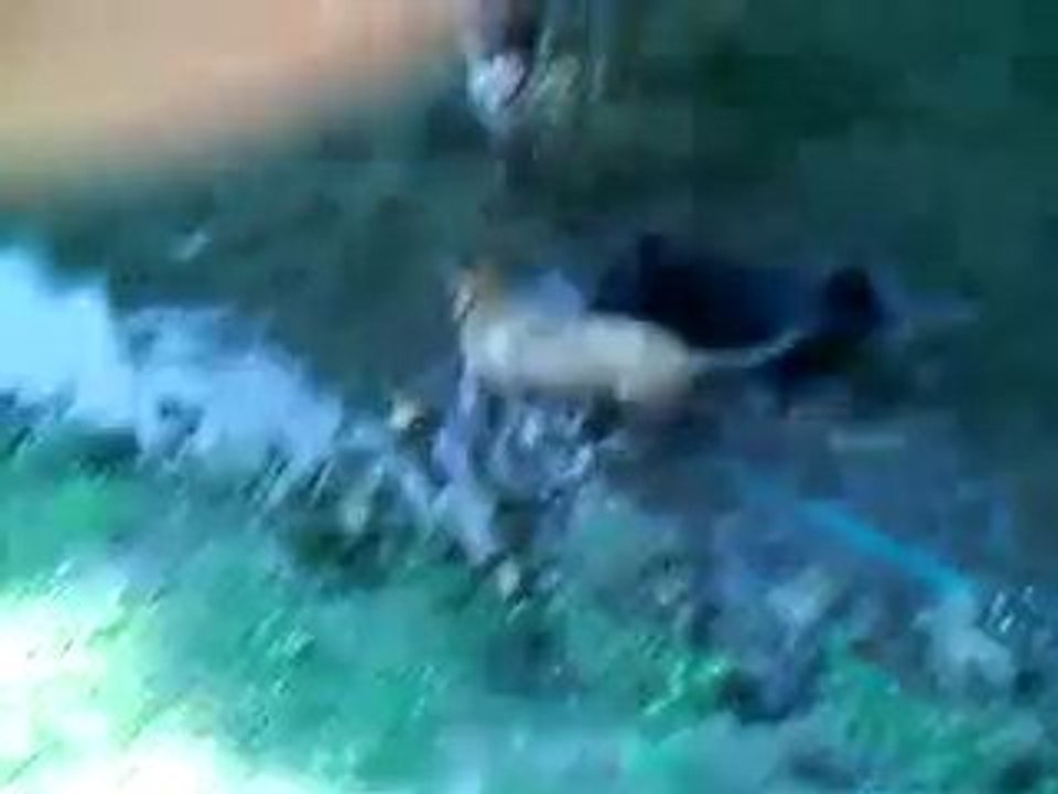 Cheyenne, F.B.I et E.T dans l'eau