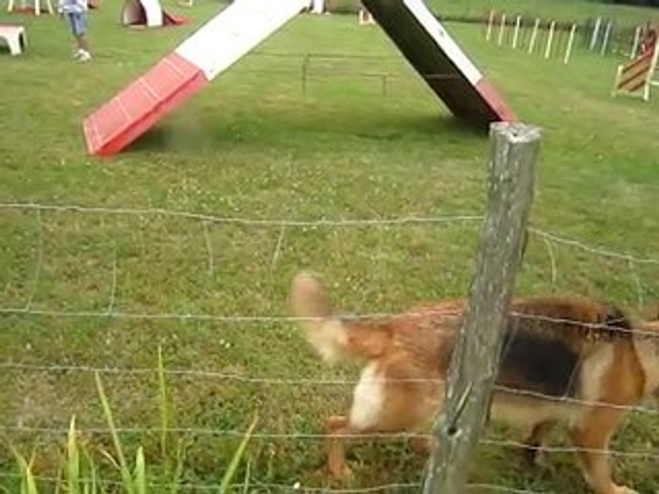 Agility Daïka 31 Juillet 2010