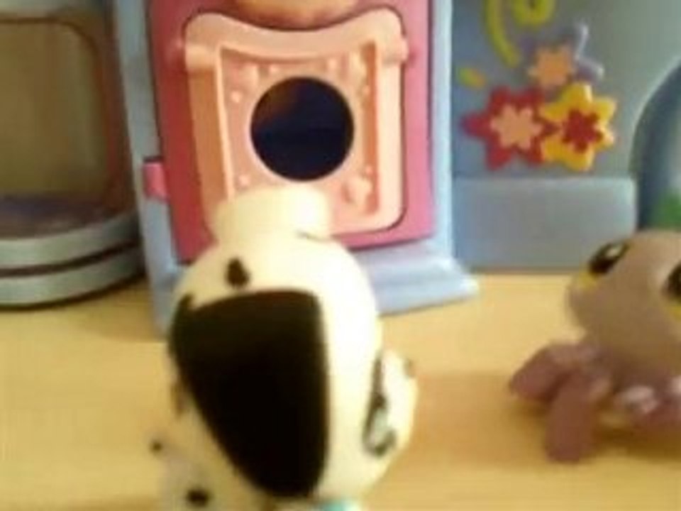 Avez vous déjà vu, un Avez vous Déjà vu PetShop ?