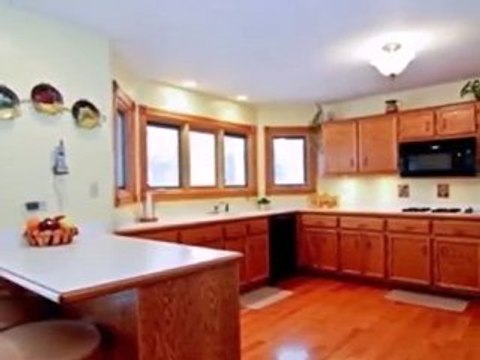 Homes for Sale - 16810 Pineview Dr - Homer Glen, IL 60491 -