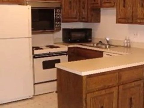Homes for Sale - 125 Acacia Cir Apt 302 - Indian Head Park,