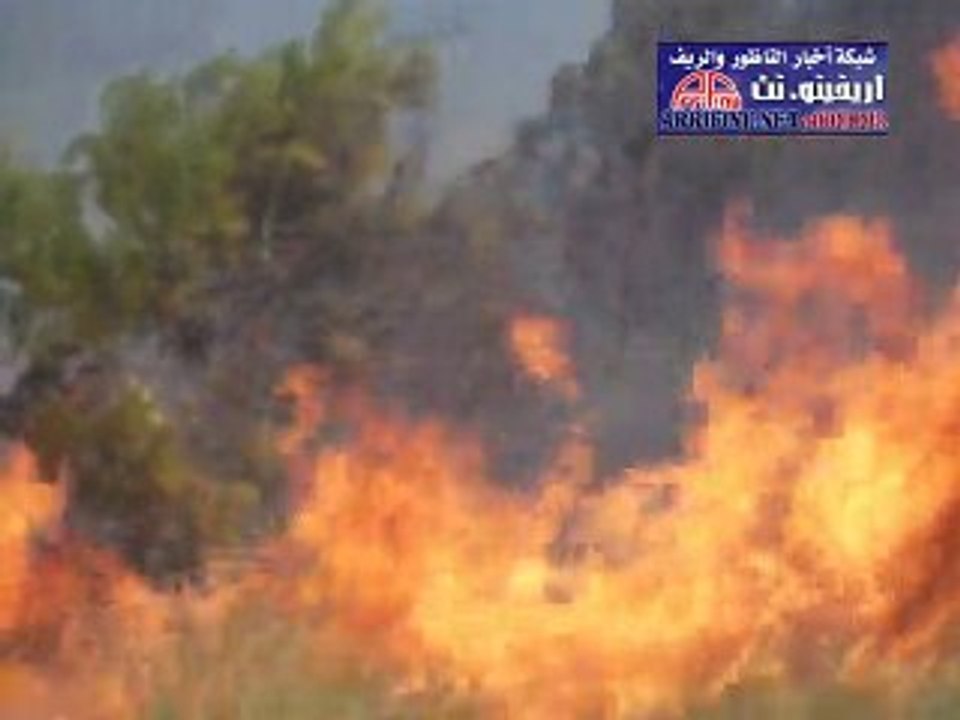 شبكة اريفينو / حريق مهول بجبل اولاد عبد الله نواحي زايو