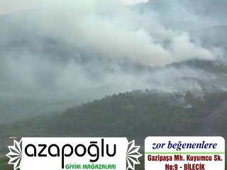 BİLECİK GÖLPAZARINDA ORMAN YANGINI