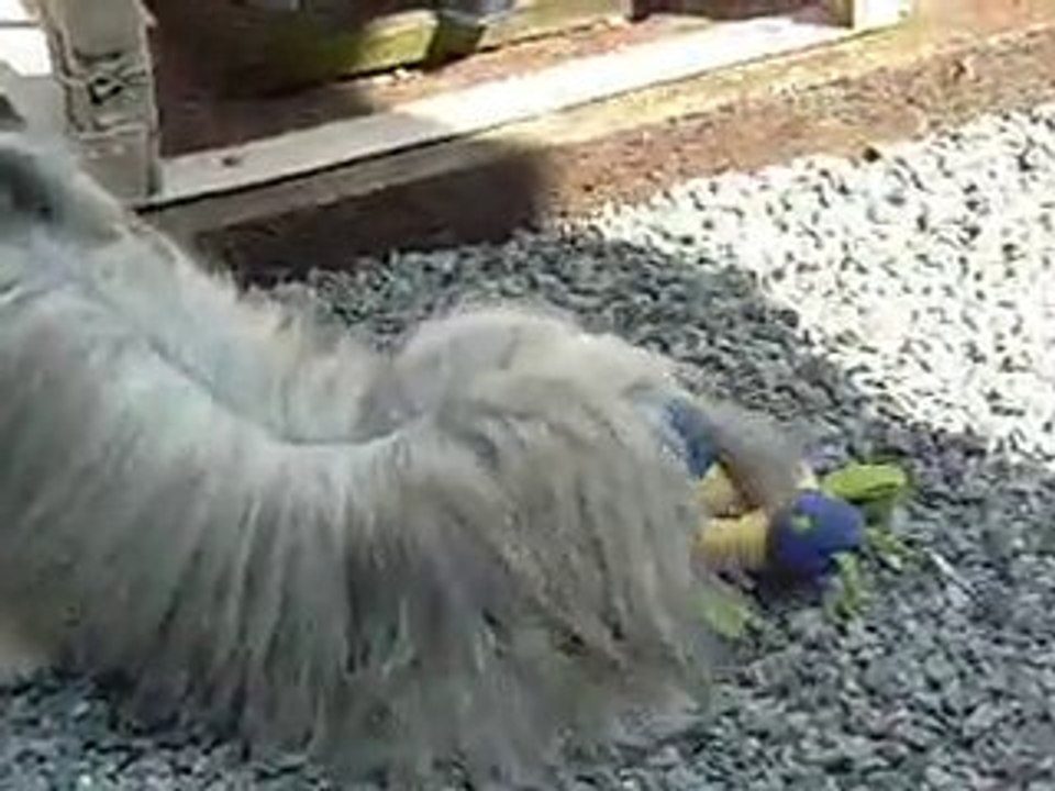 Gellya et son doudou