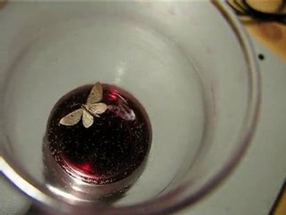 Schmetterling effekt - chaostheorie - ich trinke nie... kaffee! ben hiç kahve içmem!