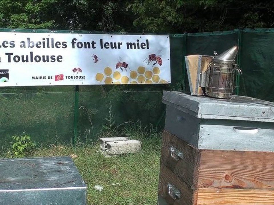 Rucher du Museum de Toulouse avec les enfants