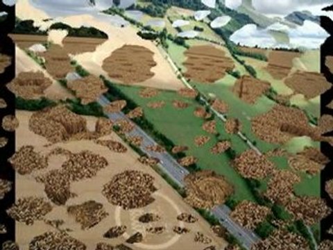 Two new Crop Circles Wickham Green, Berkshire, UK - 30 July