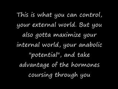 Universal Animal Stak 2