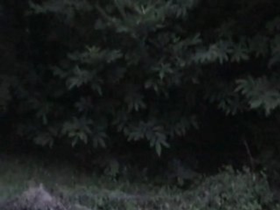 halte fiesta paranormal