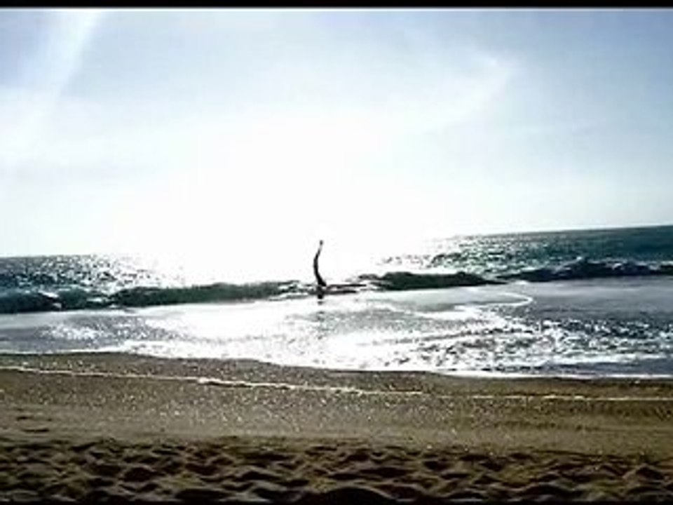 Portugal 2010