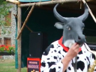 UNIQUE   a HERVE  une VACHE jouant du SAXOPHONE