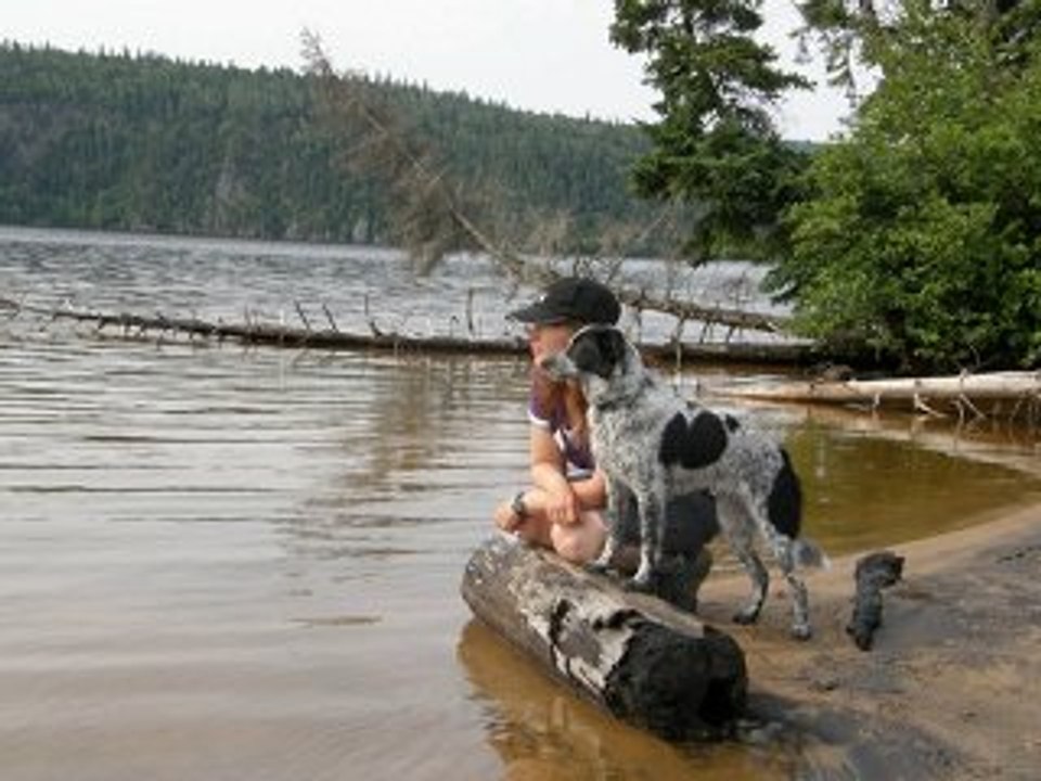 Vacances avec les chiens