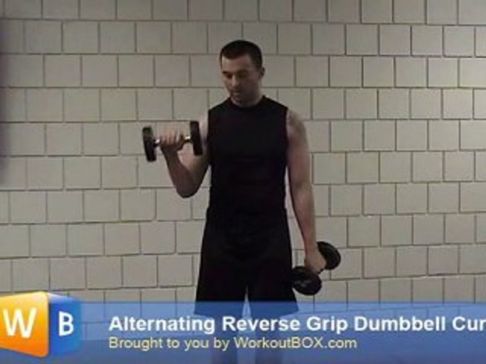 Standing Reverse Grip Curls