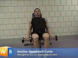 Bicep Curls Exercise