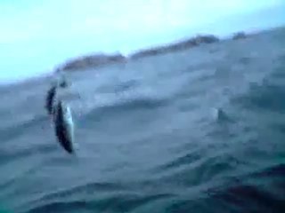 Sortie St-Malo/Cézembre