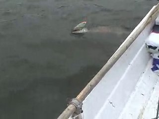 Pike fishing in Finland / Summer 2010 Kustavi