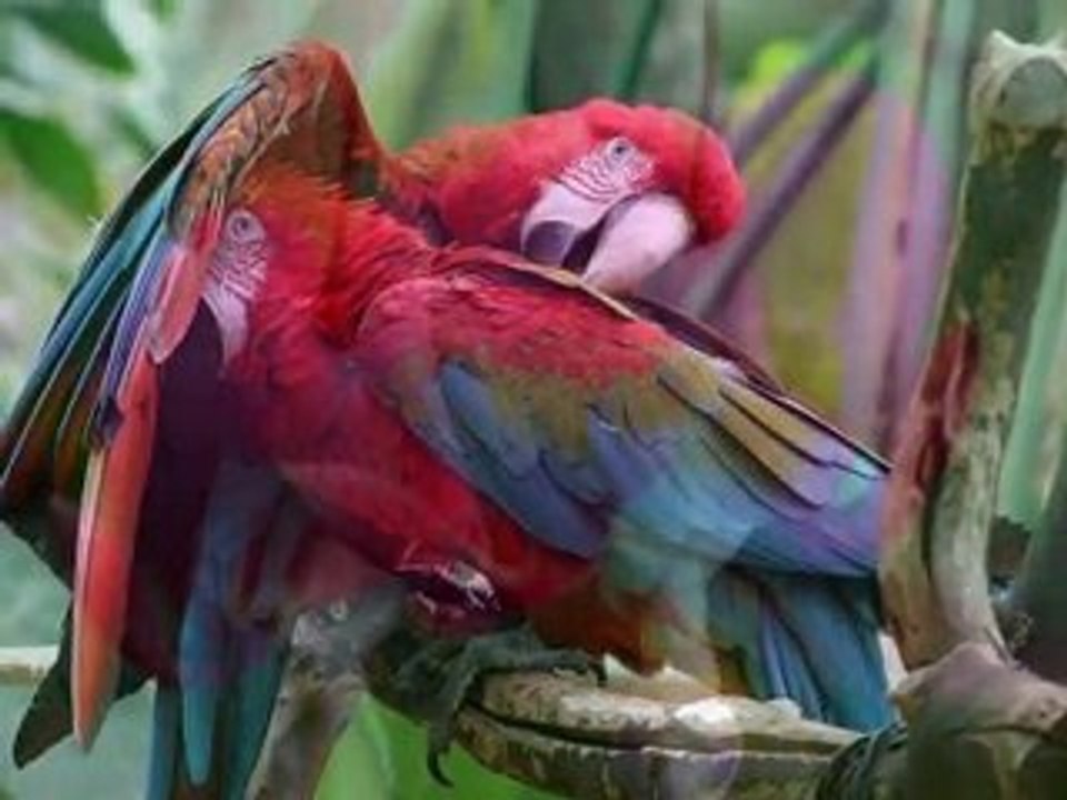 Skarby świata całego